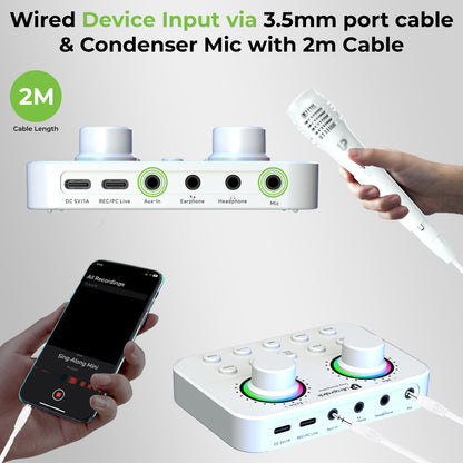 Sing-Along Mini Wireless Karaoke & Live Broadcast Mixer with Condenser Mic UM1002M